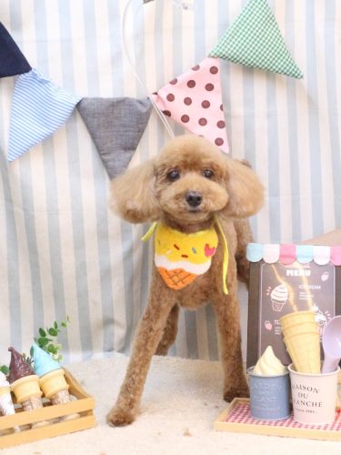 20250518レオくん